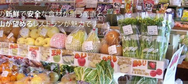 Anekko Chokubai Tokoro Noichi Sato — 일본 사과 따기 스팟