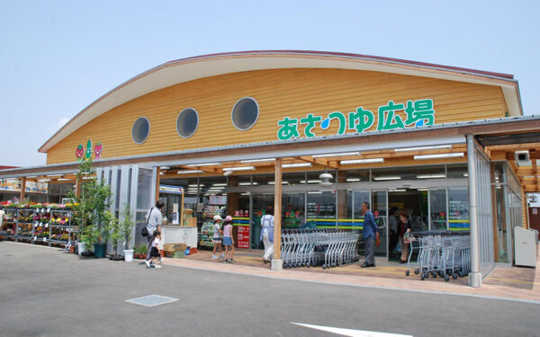 JA Shonan Asatsuyu Hiroba — 일본 아마오 딸기 따기 스팟