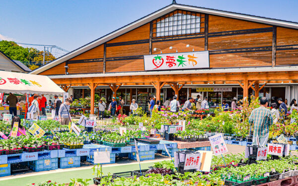 JA Atsugi Farm Products Direct Sales Yume Hitsuji — 일본 포도 따기 스팟