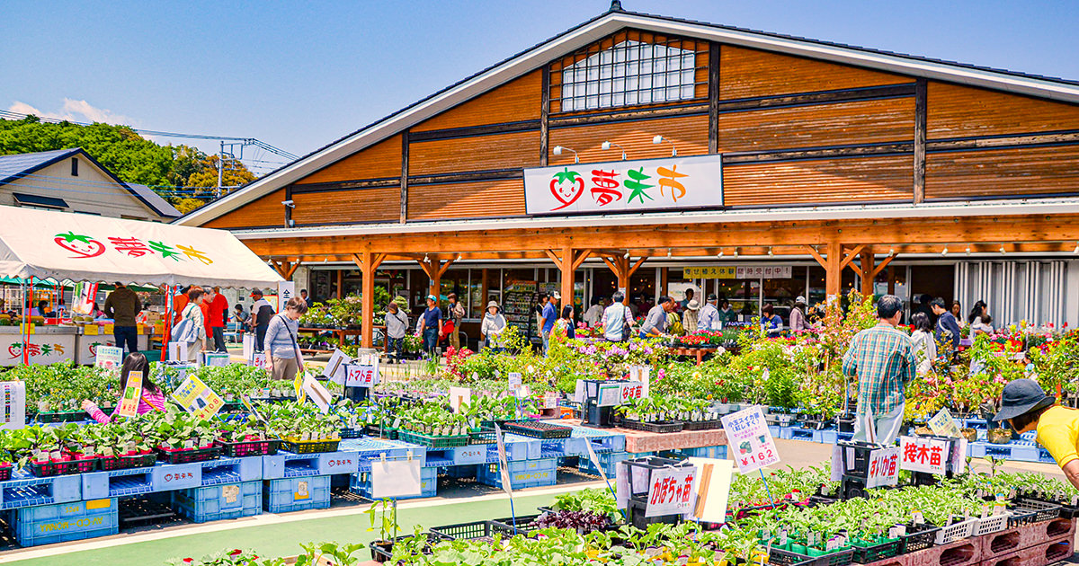 JA Atsugi Farm Products Direct Sales Yume Hitsuji — Grape in Japan