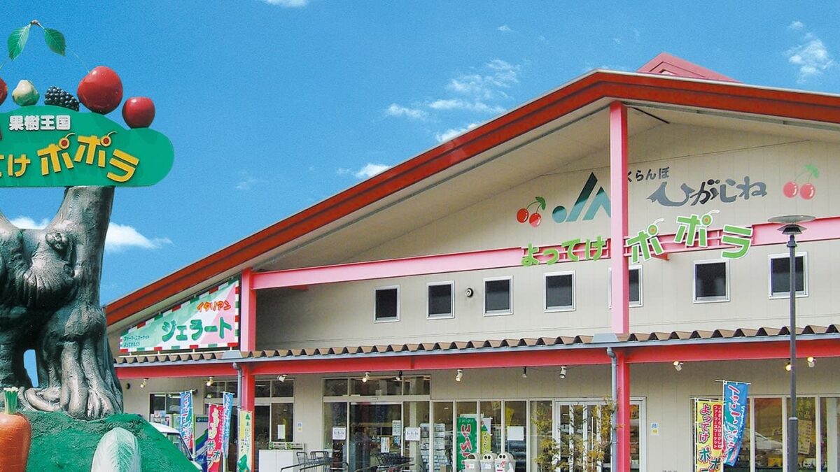 JA Sakuranbo Higashine Farmers Market Yotteke Popora — 일본 체리