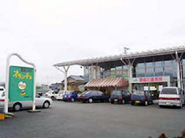 JA Nakano City Farm Products Market Oranche — 日本樱桃