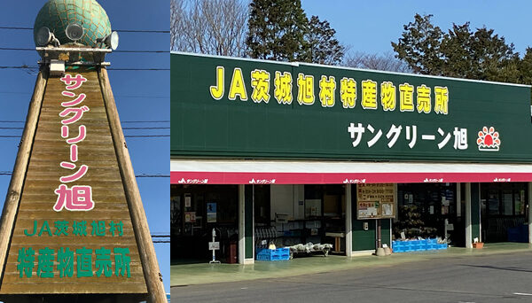 JA Ibaraki Asahimura Specialty Direct Sales San Green Asahi — 일본 멜론 따기 스팟