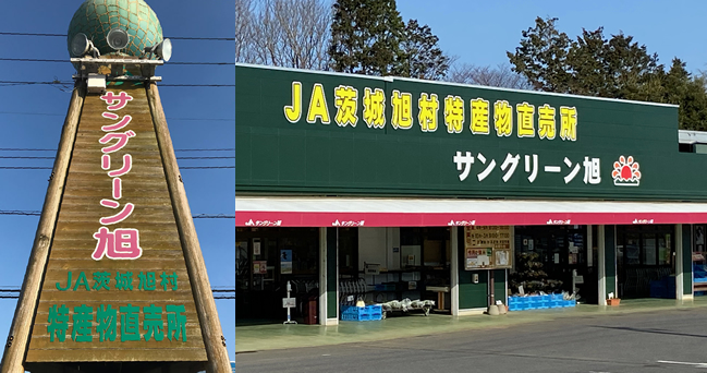 JA Ibaraki Asahimura Specialty Direct Sales San Green Asahi — 日本蜜瓜