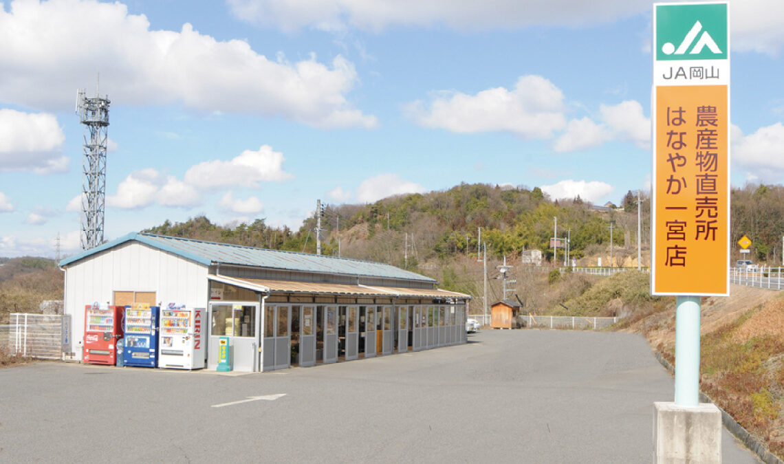 JA Okayama Farm Products Direct Sales Hanayaka Ichinomiya — Grape in Japan