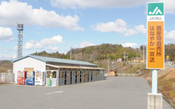 JA Okayama Farm Products Direct Sales Hanayaka Ichinomiya — 일본 포도 따기 스팟