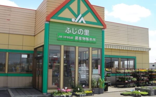 JA Tsugaru Hirosaki Farm Products Direct Sales Fujino Sato — 일본 사과 따기 스팟