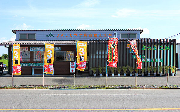 JA Shimotsuke Tochigi Farm Products Direct Sales Yottokore — 일본 포도 따기 스팟