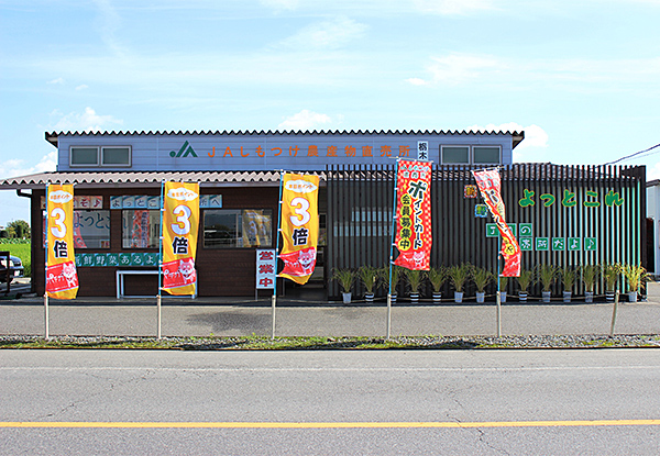 JA Shimotsuke Tochigi Farm Products Direct Sales Yottokore — Strawberry in Japan