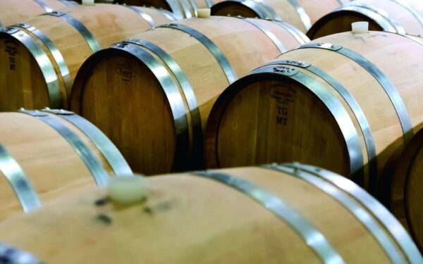 Furano Wine Koujou — 일본 포도 따기 스팟