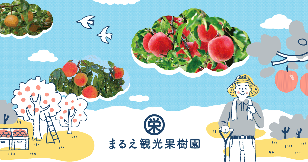 Marue Kanko Kajuen — 일본 체리