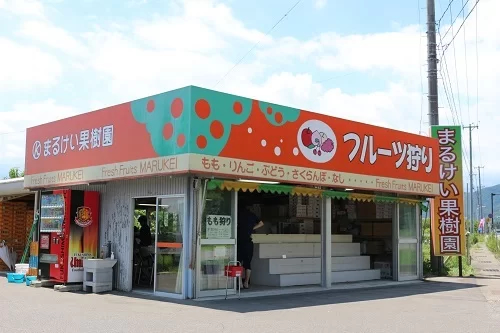 Marukei Kajuen — 일본 사과 따기 스팟