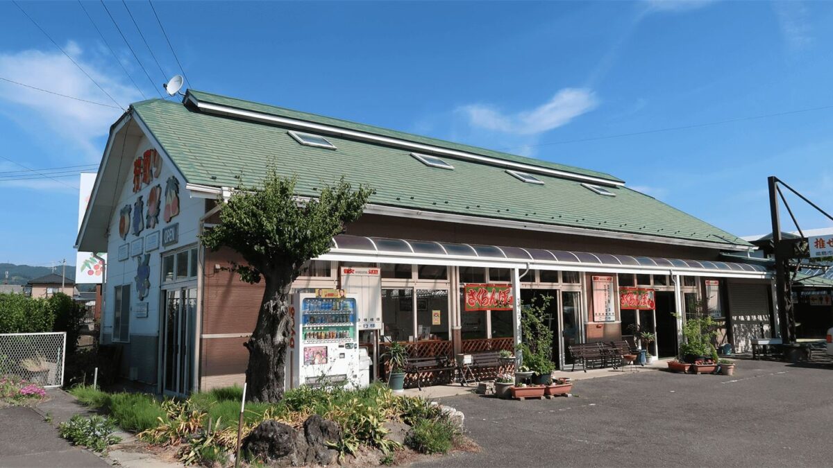 まるよし観光果樹園 — さくらんぼ