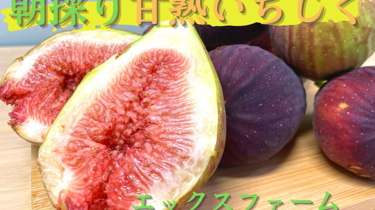 Ekkusu Farm — 일본 무화과
