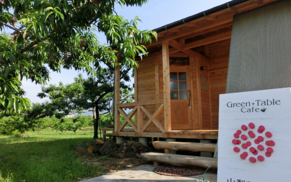 Green Teeburu Cafe ( Yamanashi Naitou Nouen ) — 일본 포도 따기 스팟