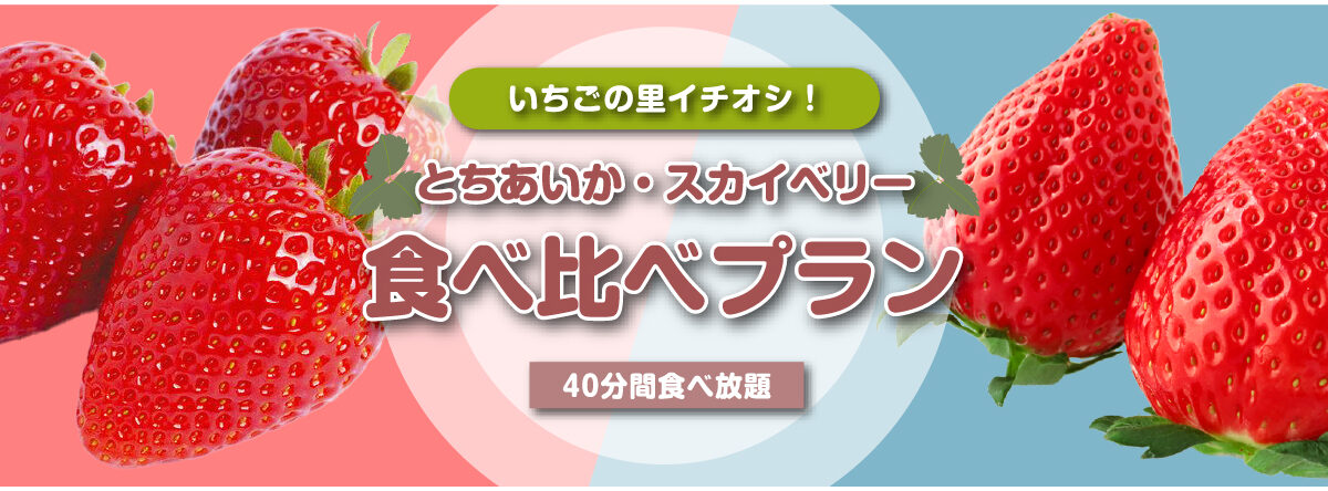 スローライフリゾート いちごの里 — いちご