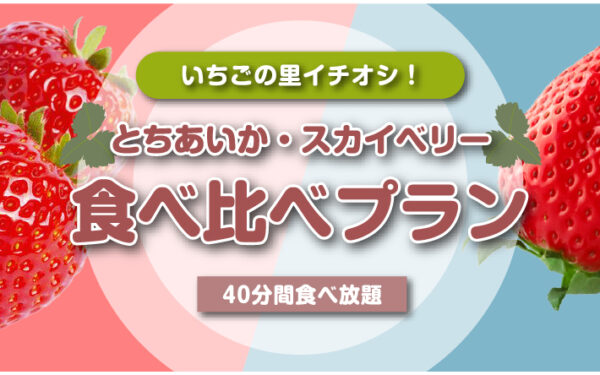 スローライフリゾート いちごの里 — ブルーベリーのフルーツ狩りスポット