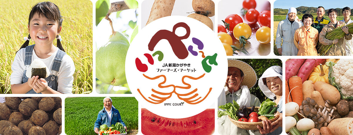 Faamaazu・ Market Ippeko ~ To — 일본 수박