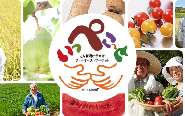 Faamaazu・ Market Ippeko ~ To — 일본 멜론 따기 스팟