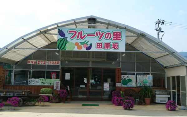 Fruits No Sato Tabaruzaka — 일본 멜론 따기 스팟