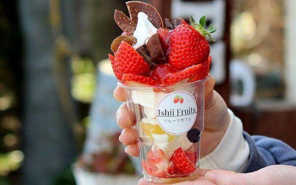 Fruits Cafe Ishii ( Ishii Kajuen ) — 일본 포도 따기 스팟