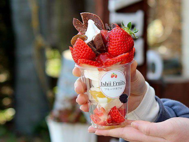 Fruits Cafe Ishii ( Ishii Kajuen ) — 일본 포도