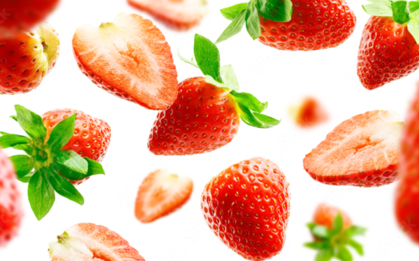 Fruits Garden Yamagata — 일본 아마오 딸기 따기 스팟