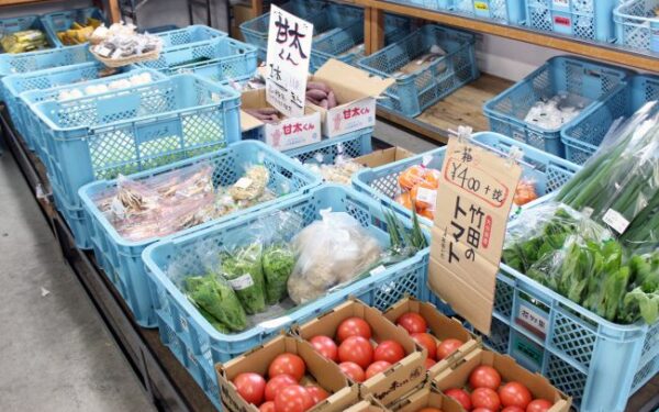 Fresh Park Hanano Ka — 일본 밀감 따기 스팟