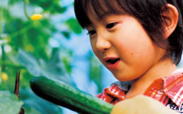 Hokuren Kutto Nou Nofureai Farm Kururuno Mori — 일본 멜론 따기 스팟