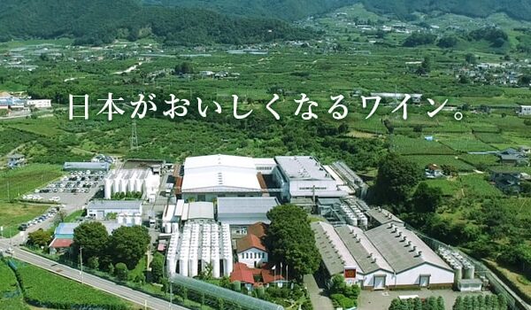 Manzu Wine Katsunuma Winery — 일본 포도 따기 스팟