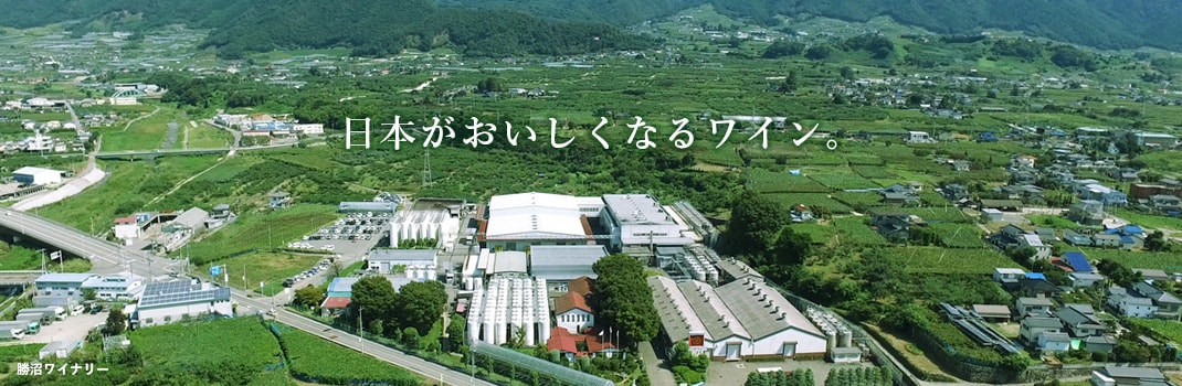 Manzu Wine Katsunuma Winery — 일본 포도
