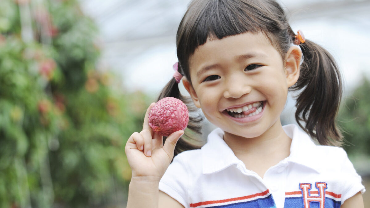 Miki Farm Raichi Tsumi Tori Sono — 일본 리치