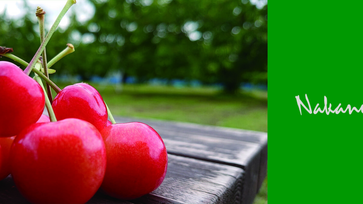 Nakano Kanko Kajuen ( Nakano Fruits ) — Cherry in Japan