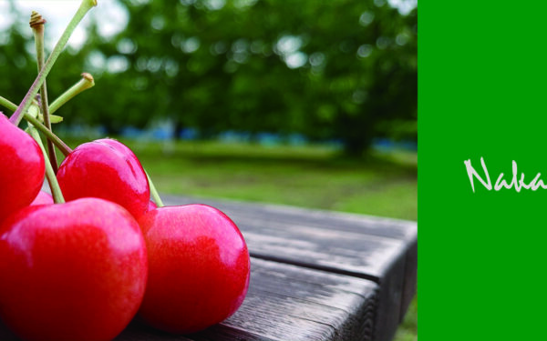 Nakano Kanko Kajuen ( Nakano Fruits ) — Cherry fruit picking spot in Japan