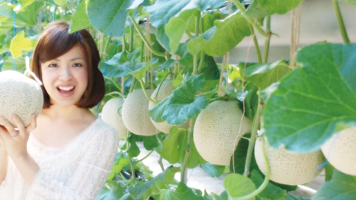 Izu Fruits Park — 일본 딸기