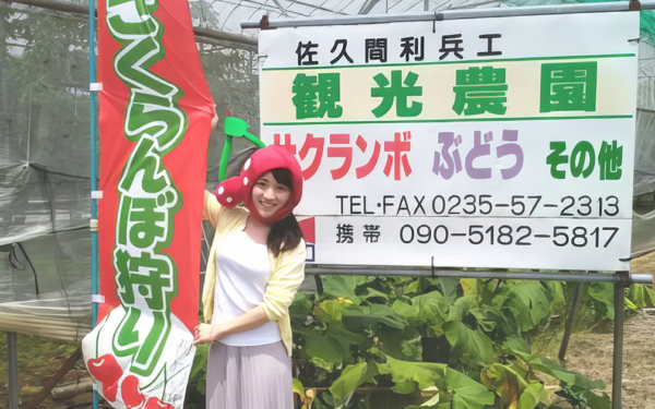 Sakuma Rihee Kanko Nouen — Cherry fruit picking spot in Japan