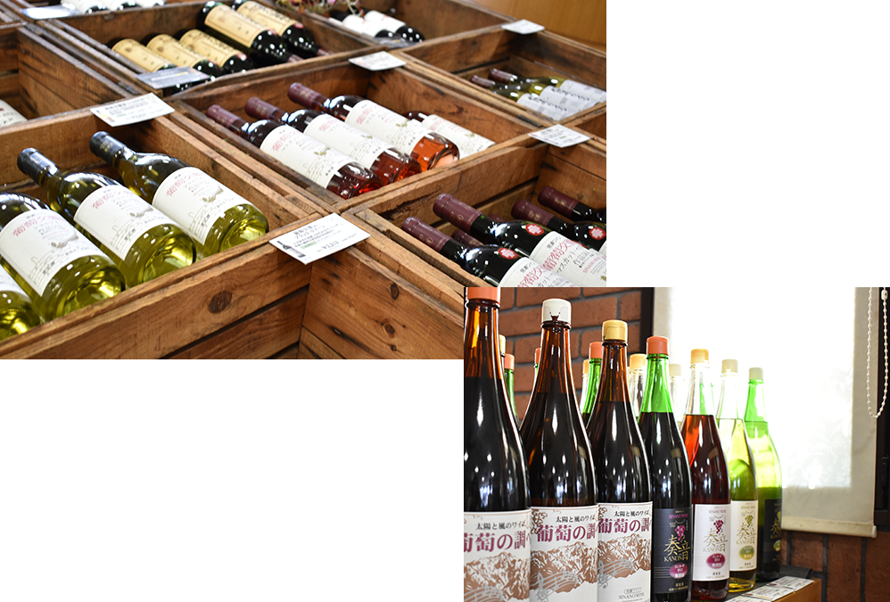Shinano Wine — 일본 포도