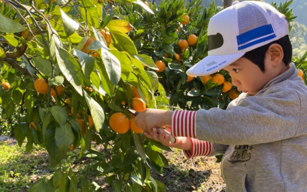 Yuu Mine Sono Fruits Land — 일본 포도 따기 스팟