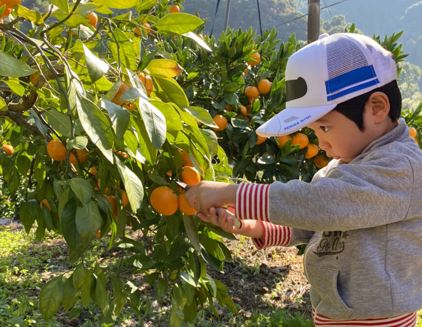 Yuu Mine Sono Fruits Land — Strawberry in Japan