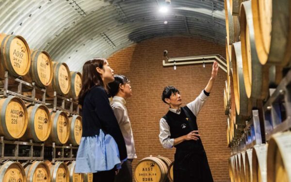Hokkaidou Wine Otaru Wine Gyararii — 일본 포도 따기 스팟