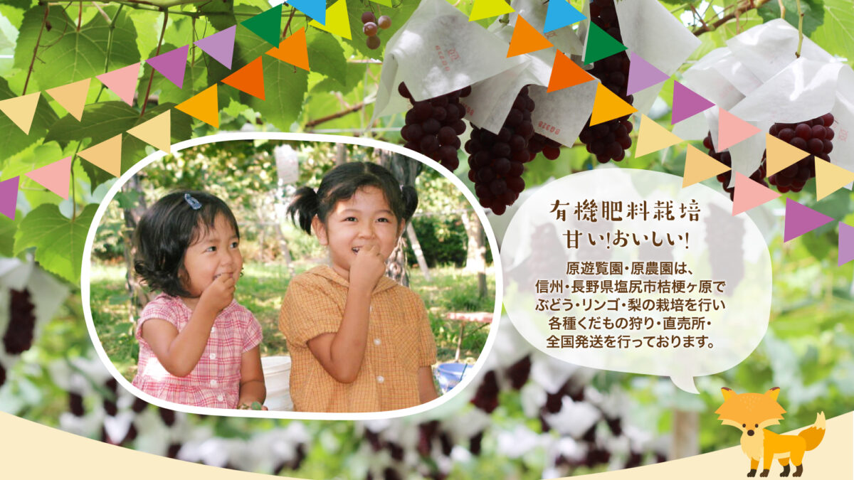 Hara Yuuran Sono ・ Hara Nouen — 일본 포도