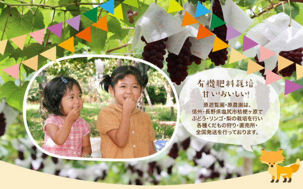 Hara Yuuran Sono ・ Hara Nouen — 일본 사과 따기 스팟