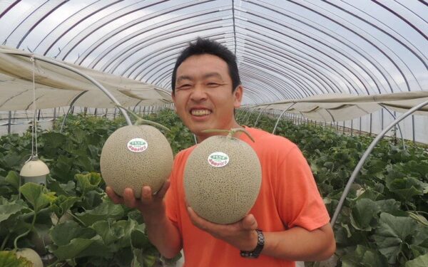 Terasaka Nouen Melon Chokubai Tokoro — 일본 멜론 따기 스팟