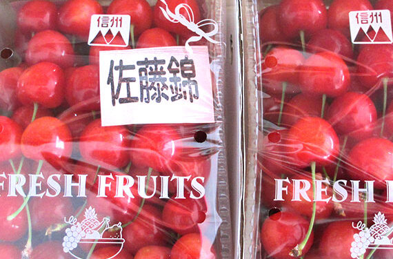 Ono Ringo Sono — Cherry fruit picking spot in Japan