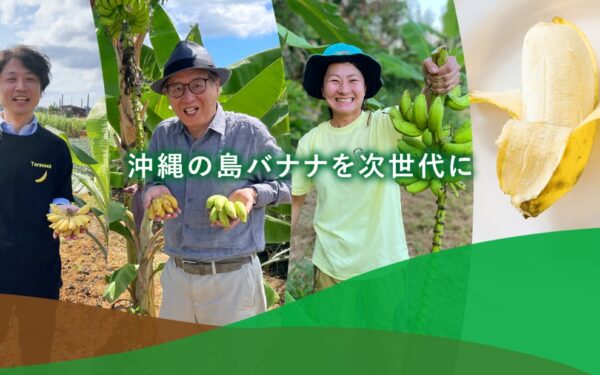 屋我地農場（島バナナ協会公式農場）