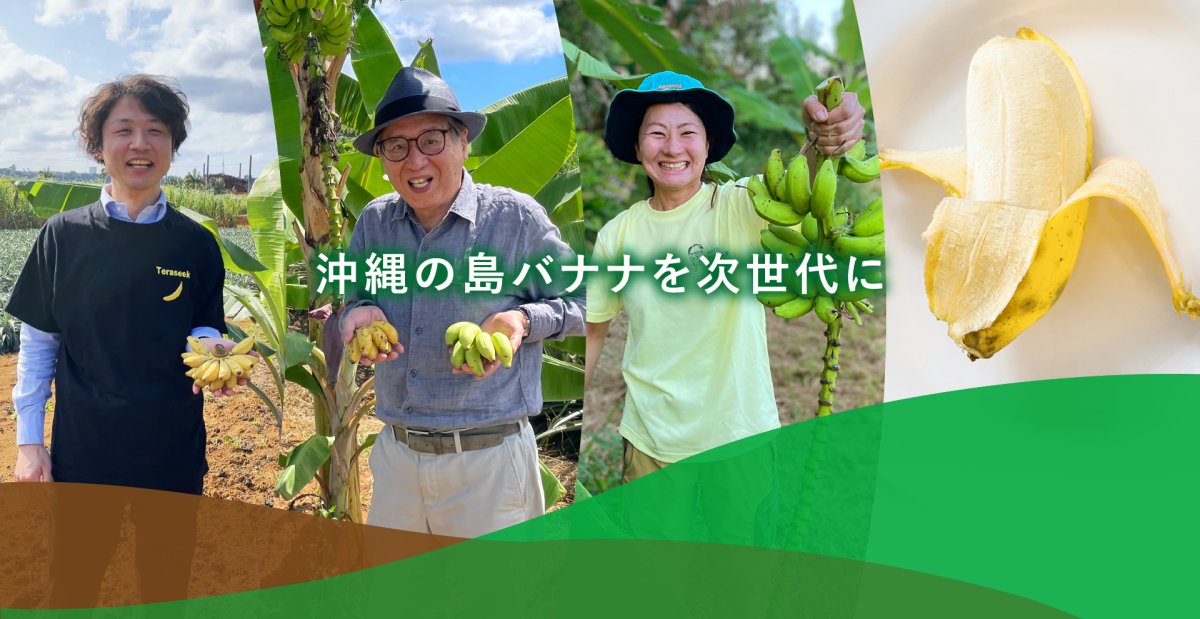 屋我地農場（島バナナ協会公式農場） — バナナ
