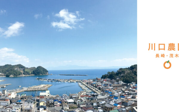 川口農園