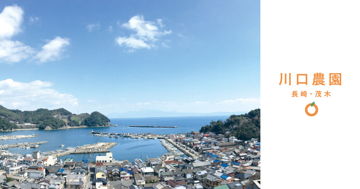 Kawaguchi Nouen — 일본 비파