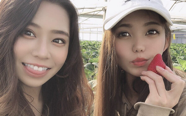 Hiramatsu Kanko Agri Su Hamanako — 일본 아마오 딸기 따기 스팟