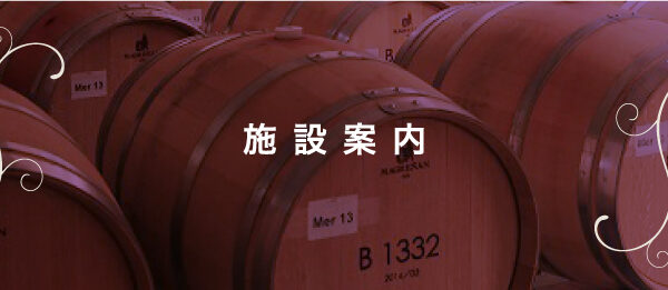Hiroshima Sanji Winery — 일본 포도 따기 스팟